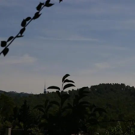 Ines Sant Cugat del Vallès