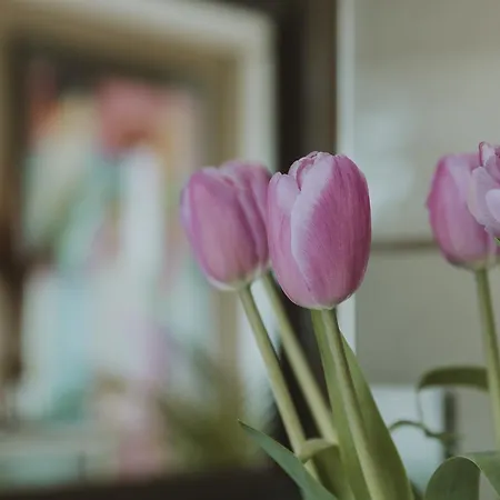 Bed & Breakfast Ines Sant Cugat del Vallès